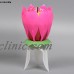 1pcs Lotus Flower Candle Musical Blossom Candles Happy Birthday Party Gift 712319541043  292179225271
